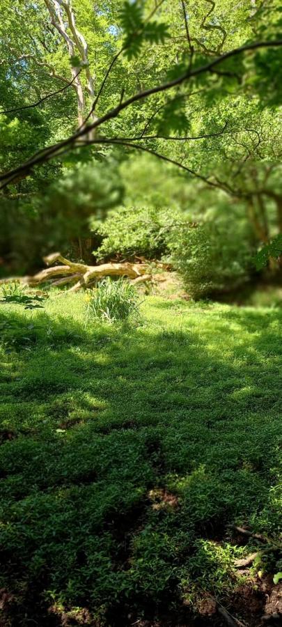 'T Uiltje Villa Ermelo Bagian luar foto