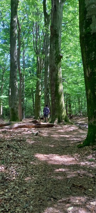 'T Uiltje Villa Ermelo Bagian luar foto